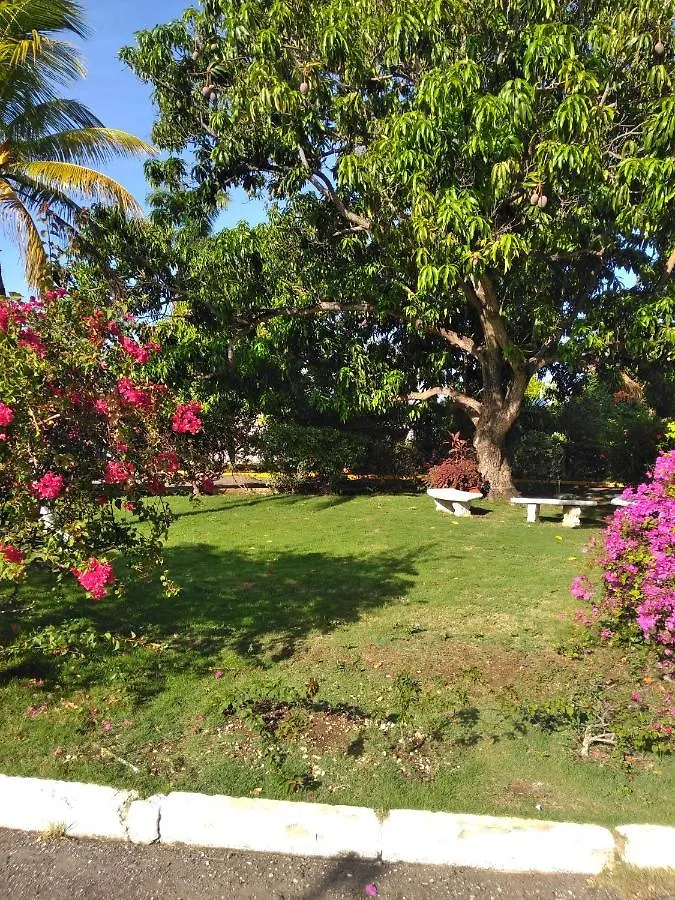 Irresistible View-Mobay Club 1408 Apartamento Montego Bay